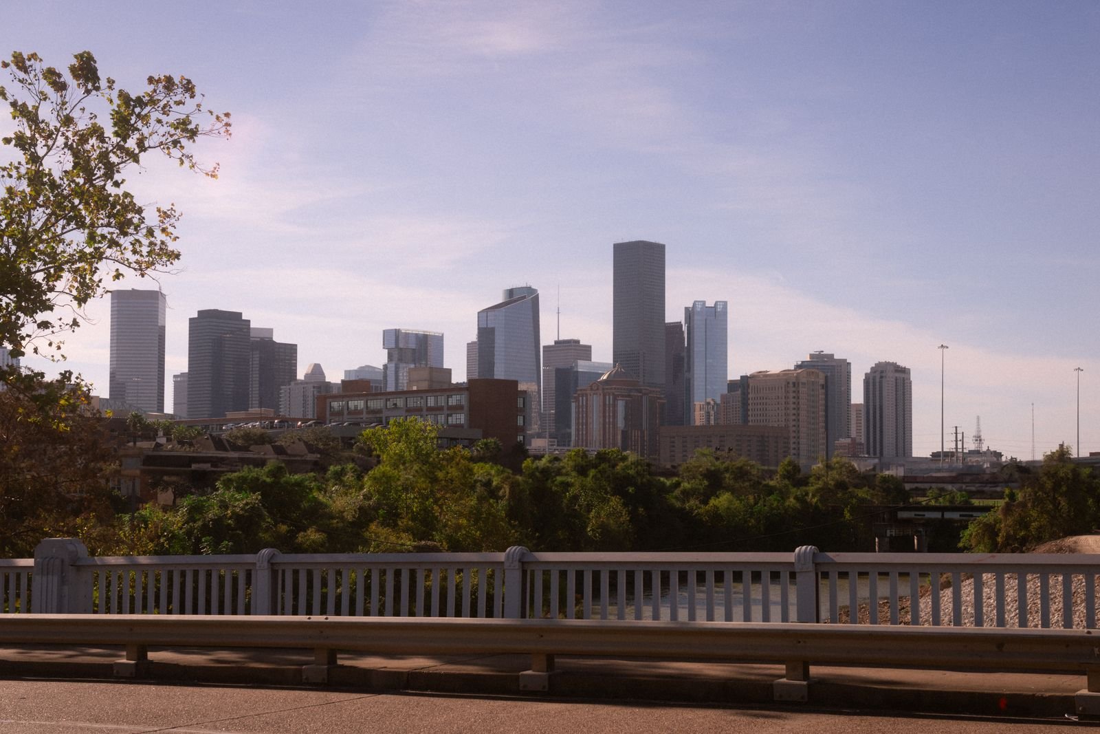 Houston, Texas skyline with greenery in the foreground